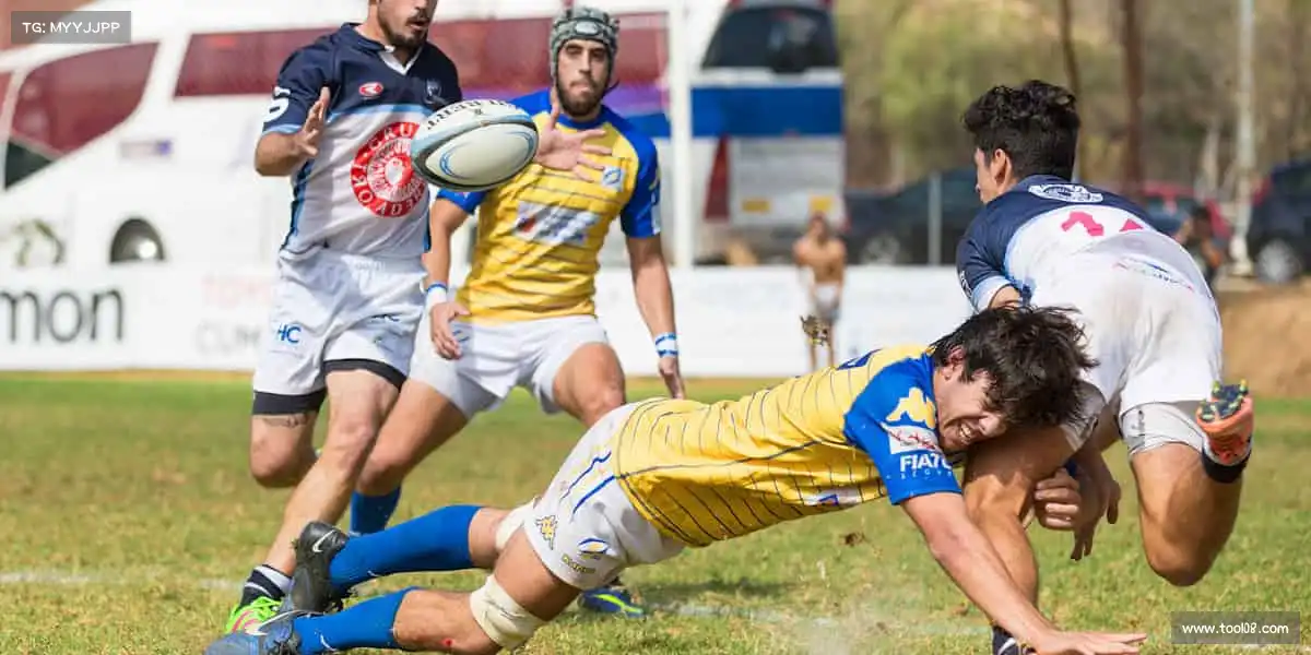 行业领先的理由